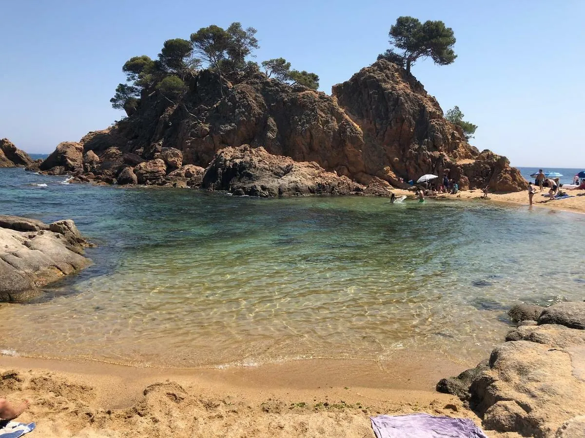 アパート Excepcional 1ª Linea De Mar Platja D'Aro Elypalace 10-2
